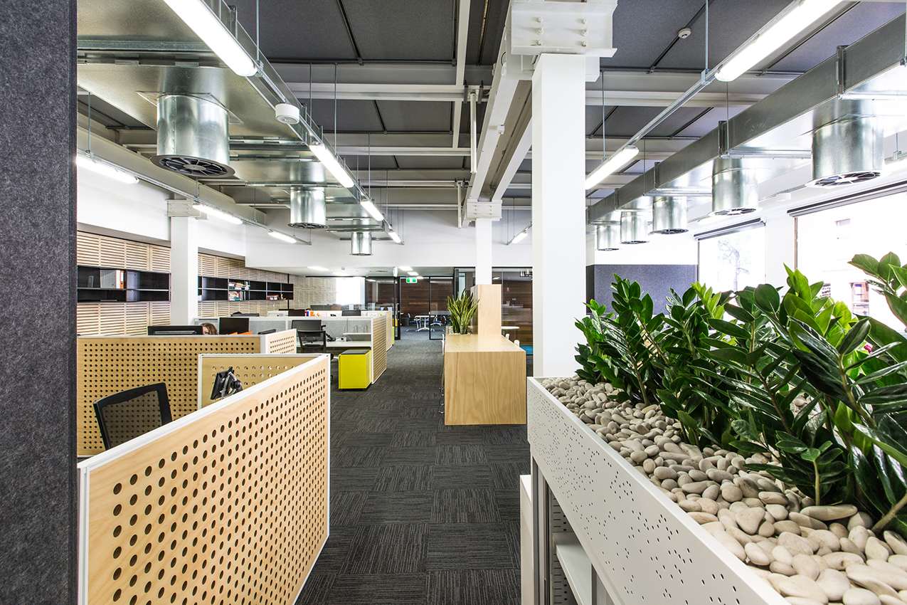 Torrens University Australia, Adelaide open office workplace including breakout and collaborative spaces
